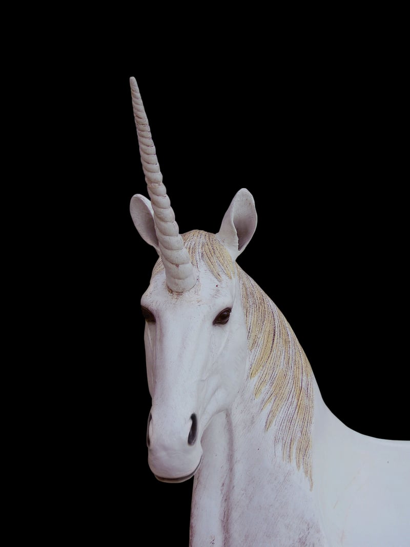 Unicorn Fantasy